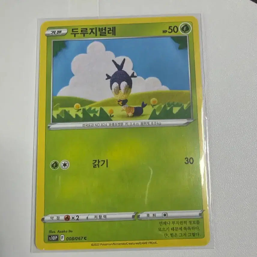 [BUNJANG] Pokemon Card Dotman 008/067 Card / 포켓몬카드 덱소스 도감용 뜨개질 두루지벌레 008/067