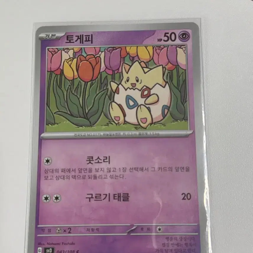 [BUNJANG] Pokemon Card Togepi Deck Source Album sv3 043/108 / 포켓몬카드 덱소스 도감용 토게피 sv3 043/108