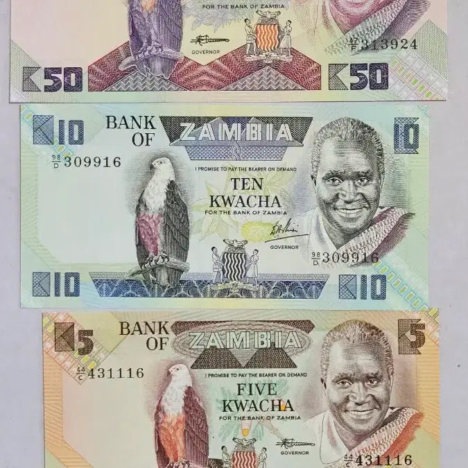 [BUNJANG] Mixed World Banknotes Bundle (Mongolia, Zambia, Russia, China, etc.) / 몽골 잠비아 러시아 중국 등 지폐일괄