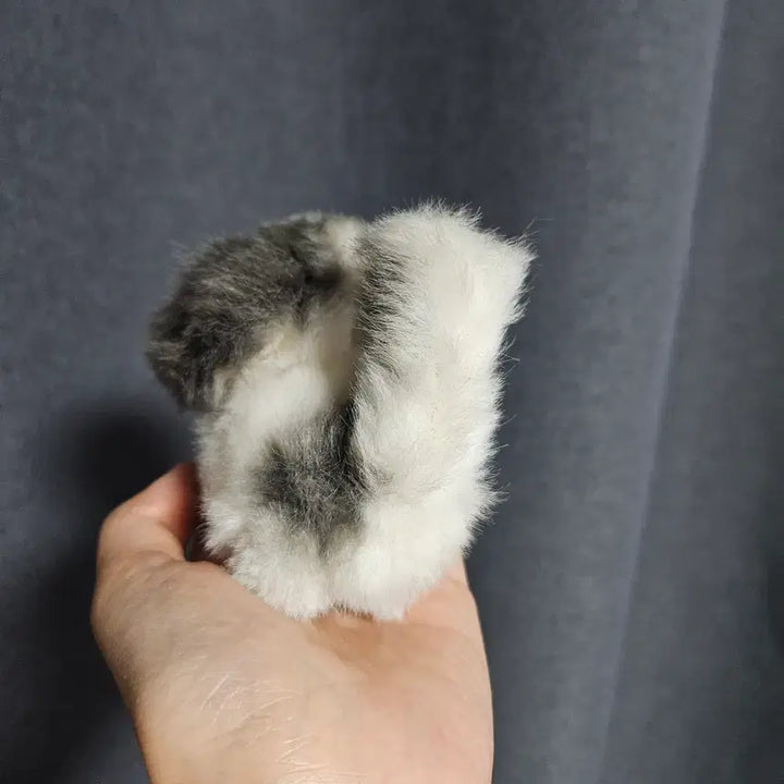[BUNJANG] Showa Retro Dog Plush / 빈티지인형 쇼와레트로인형 강아지인형