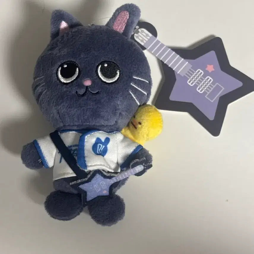 [BUNJANG] RIIZE Toy Cat Duck / 리라즈 토냥덕