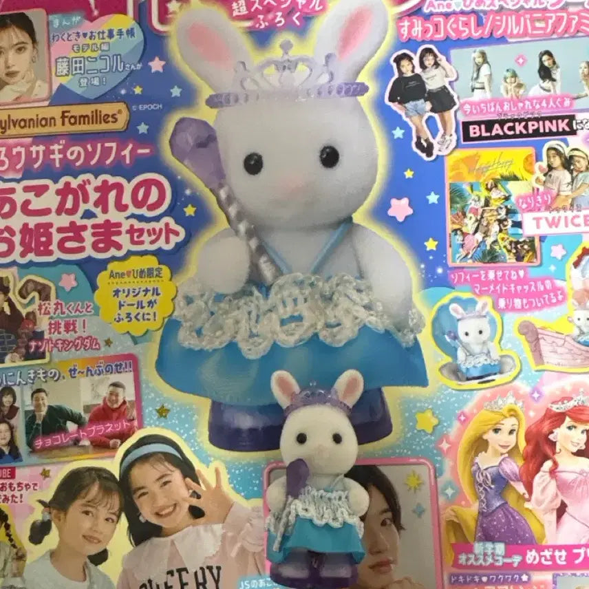 [BUNJANG] Sylvanian Families Ane Hime Doll Set / 급처) 실바니안 아네 히메 인형(부록)포함