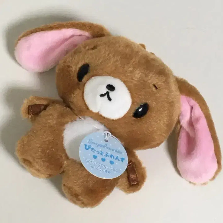 [BUNJANG] Sanrio Official Sugarbunnies Kurousa "Pitatto" Plush / 산리오 정품 슈가바니즈 쿠로우사 피탓토