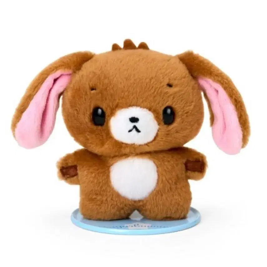 [BUNJANG] Sanrio Official Sugarbunnies Kurousa "Pitatto" Plush / 산리오 정품 슈가바니즈 쿠로우사 피탓토