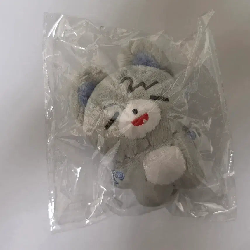 [BUNJANG] Nam Woo Hyun Doll &