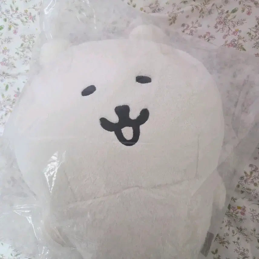 [BUNJANG] Nagano Market Nongdamgom Fuwamocchi Plush / 나가노마켓 농담곰 후와모찌 대형 인형