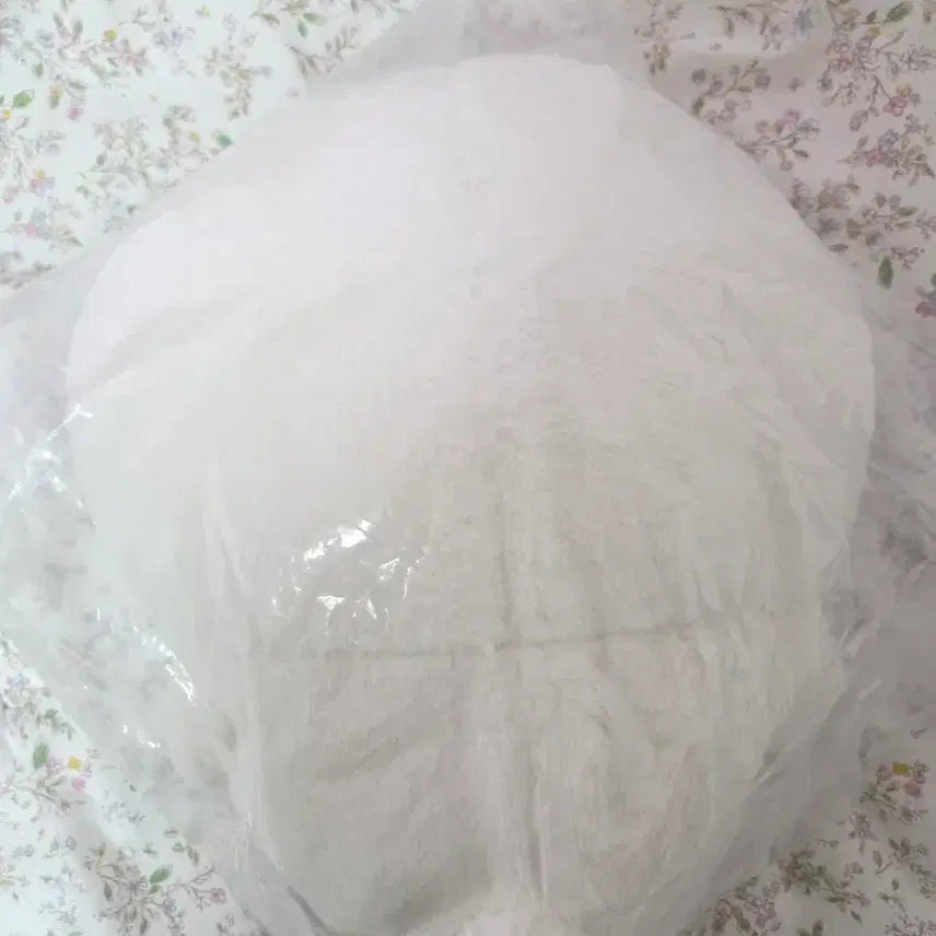 [BUNJANG] Nagano Market Nongdamgom Fuwamocchi Plush / 나가노마켓 농담곰 후와모찌 대형 인형