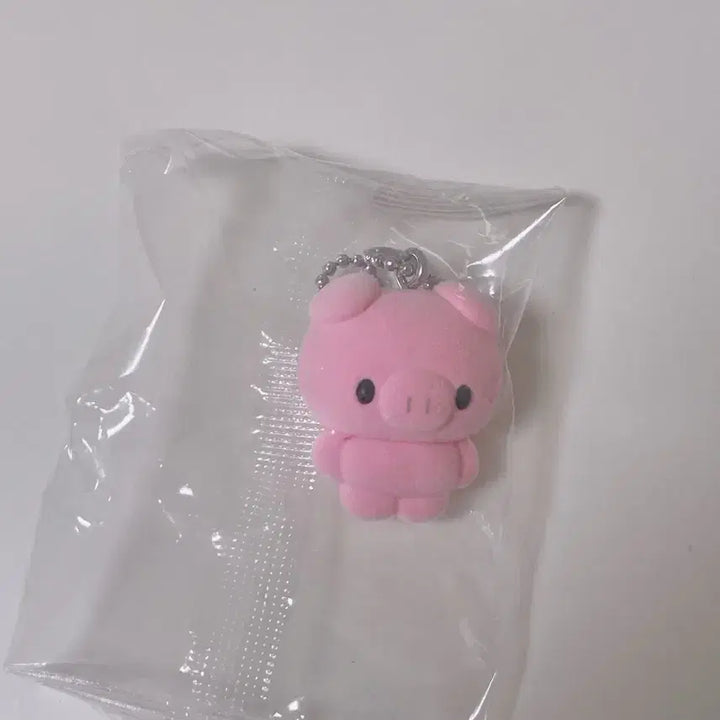 [BUNJANG] Chimmy Chimmyz Flokey Keyring Gacha Pig / 치미치미즈 플로키 키링 가챠 돼지