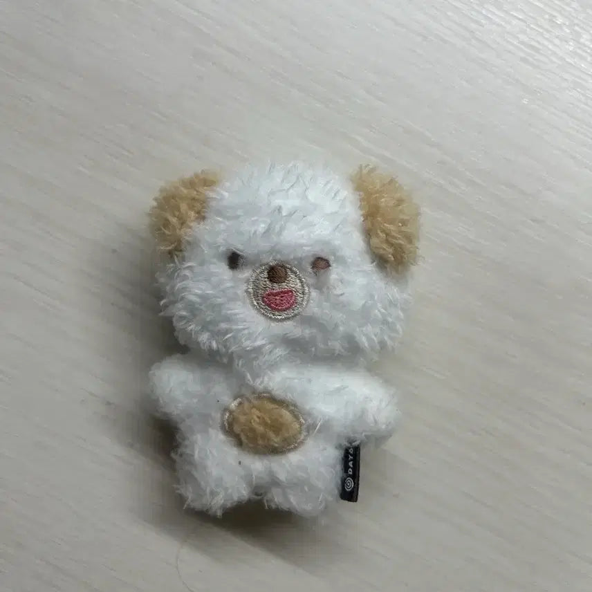 [BUNJANG] DAY6 Magnet Set / 데이식스 마그넷 돈