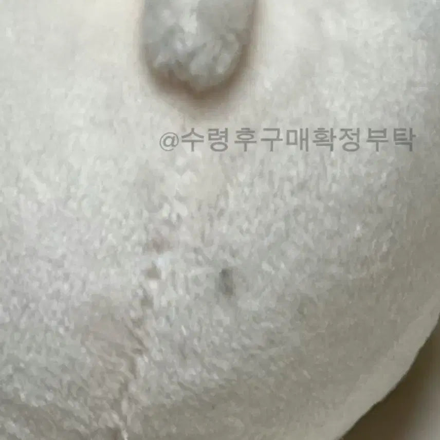 [BUNJANG] Hamani 7cm Unsealed Plush Doll Wonhee / 햄만이 단순개봉 인형 양도 7cm 아일릿 원희