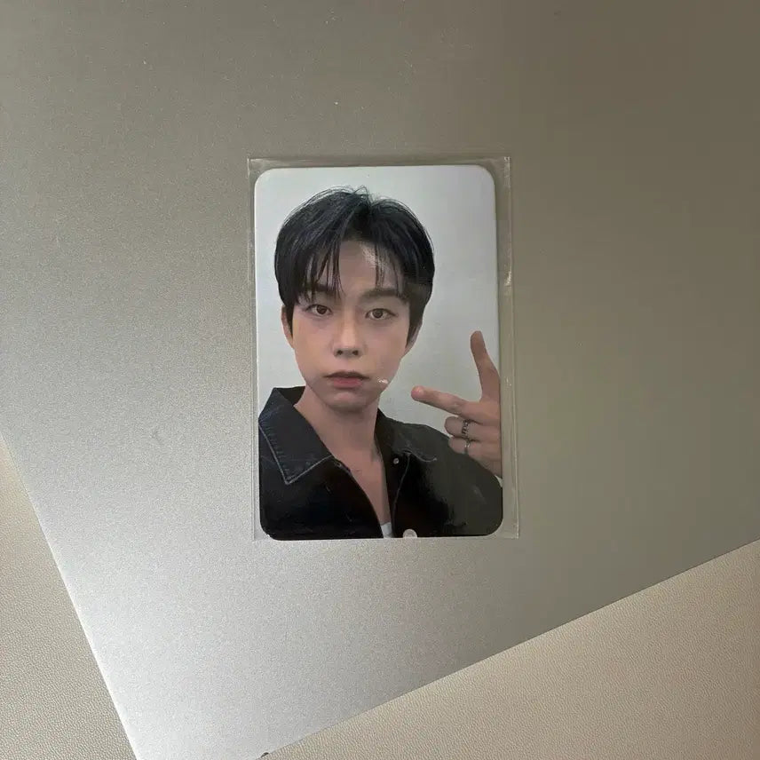 [BUNJANG] VERIVERY Dongheon Childish Island Version Photocard / 루시 딩고 선스틱 차일디쉬 아일랜드 버전 포카 상엽 flo