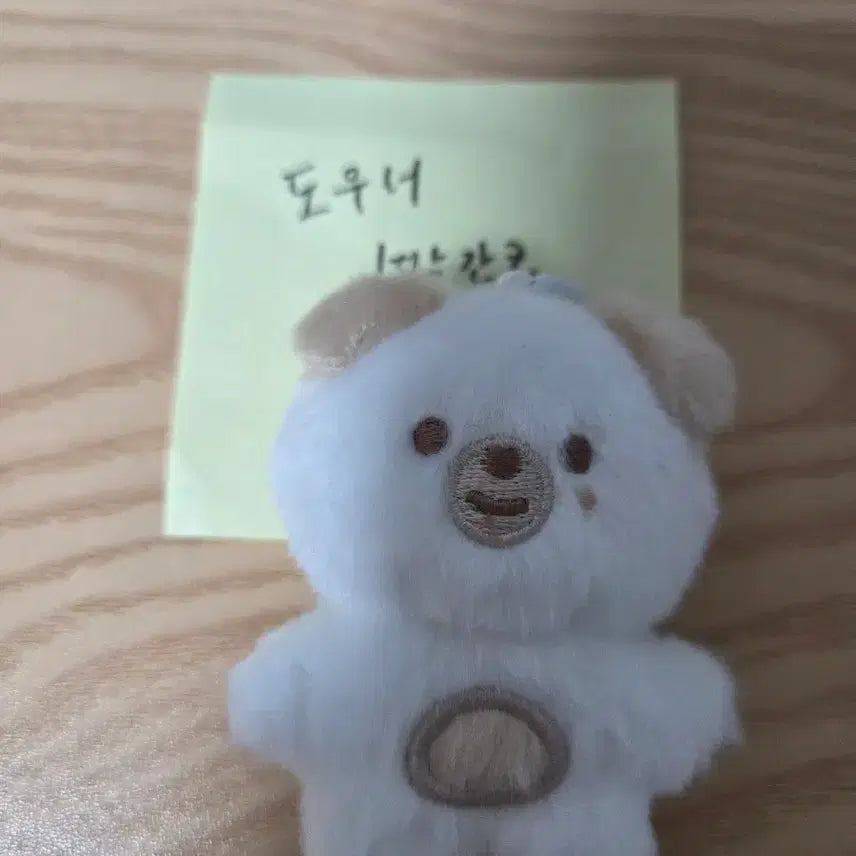 [SOLD OUT] 데이식스 쁘쁘멀 돈