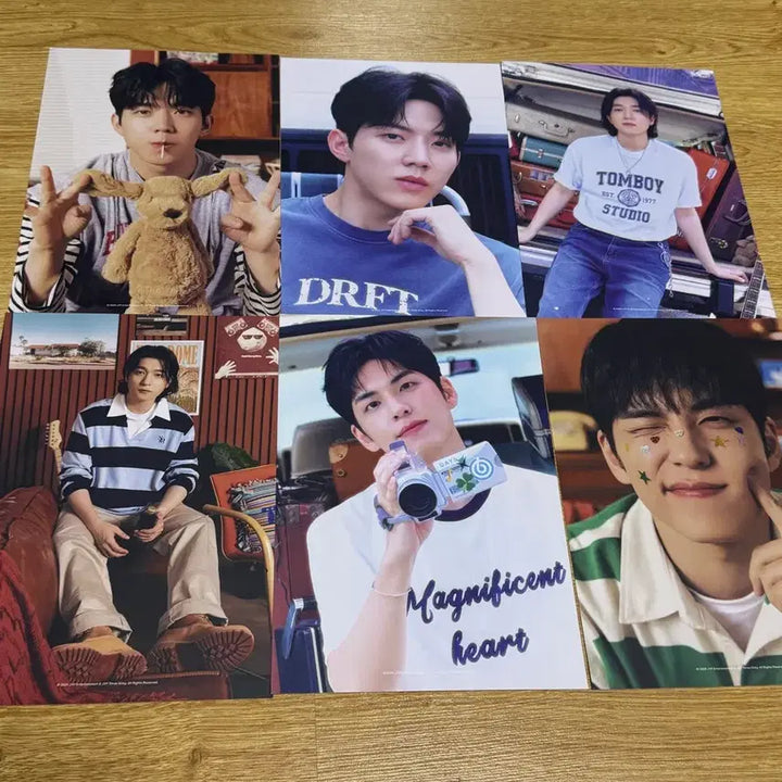 [BUNJANG] DAY6 Wonpil Sungjin Dowoon Official Photocard Bundle Set / 데이식스 포카 시그 성진 원필 도운 일괄 양도