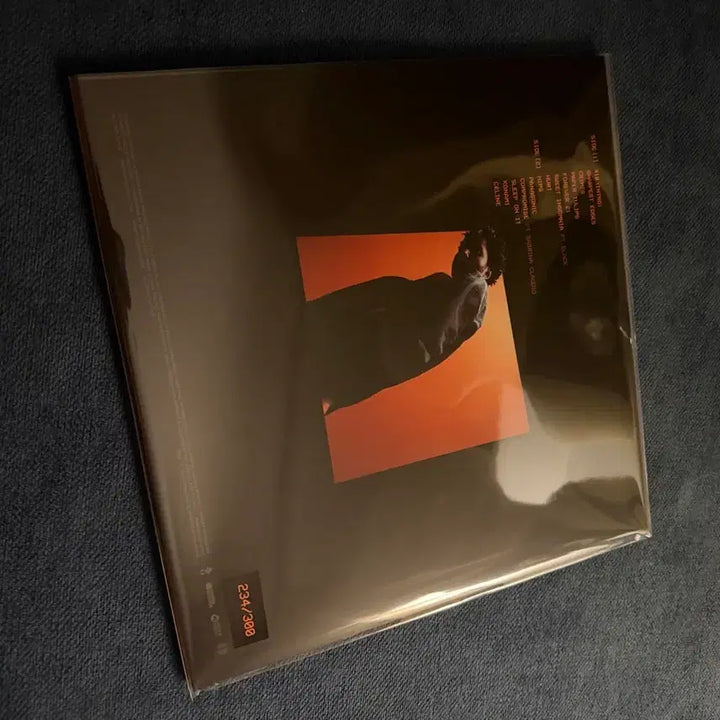 [BUNJANG] GALLANT SWEET INSOMNIA LP / GALLANT (갈란트) - SWEET INSOMNIA LP
