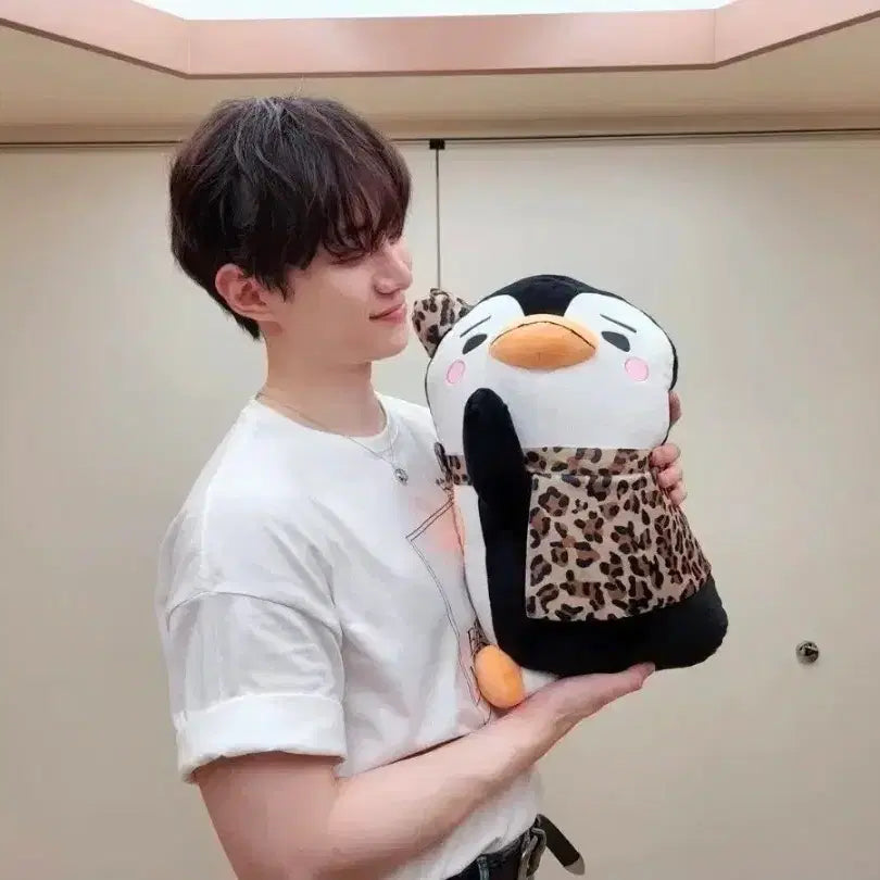 [BUNJANG] 2PM Junho Sleeping Penguin Official Plush (Japan) / 준호 눕펭이 공식 인형(일본)