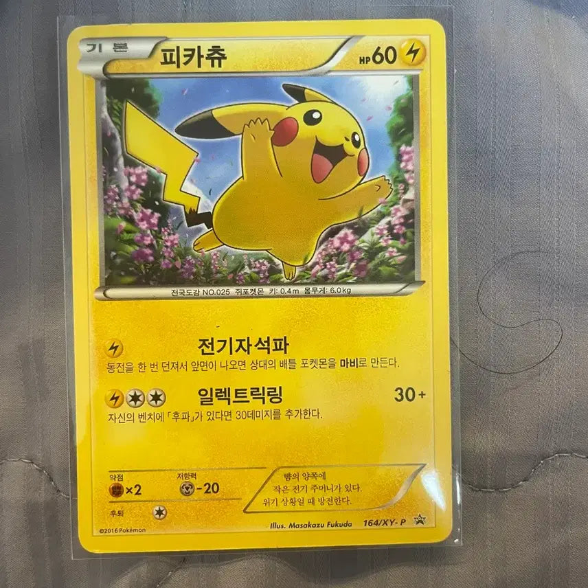 [BUNJANG] Pikachu, Dragonite, Charmander, and More Bundle Set / <<일괄 판매>>프로모피카츄, 망나뇽, 파이리, 메가드래캄 sar 등등
