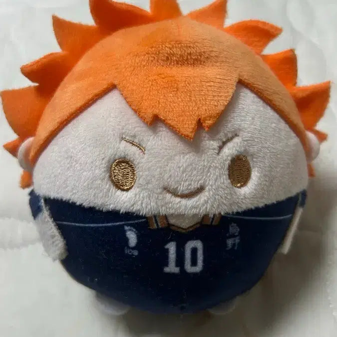 [BUNJANG] Haikyuu!! Shoyo Hinata Plush Doll / 하이큐 히나타 쇼요 인형 봉제인형