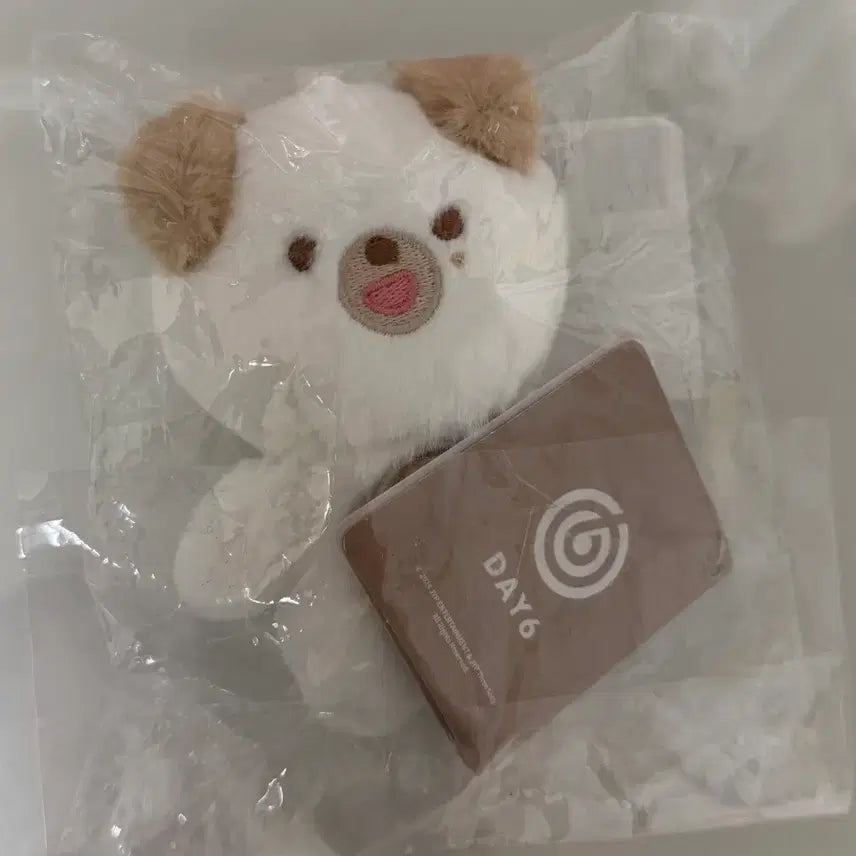 [BUNJANG] DAY6 Dowoon Petit Merz 10cm Doll Doni / (미사용 원가이하) 데이식스 쁘띠멀즈 10cm 인형 도운 돈이 DON