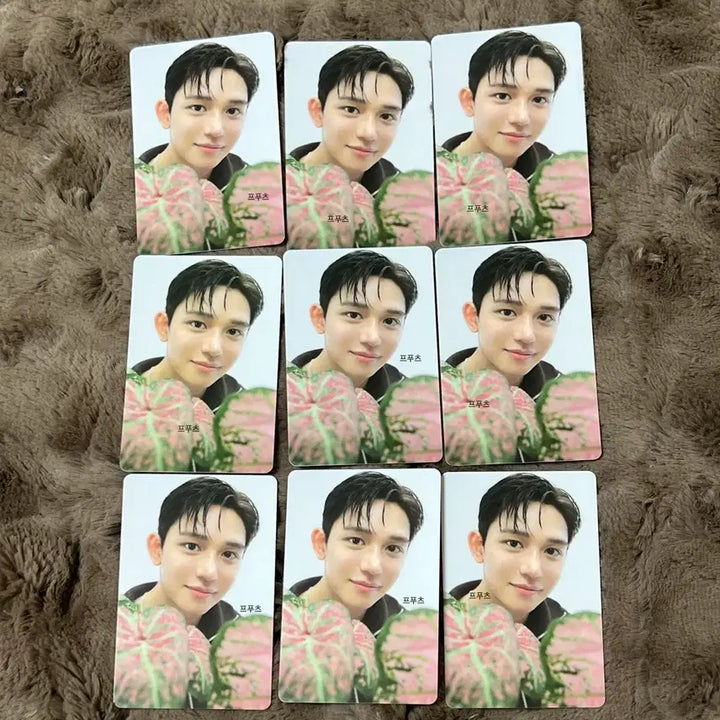 [BUNJANG] LUCAS 2025 SMTOWN 30th Anniversary Family Photocard Bundle Set / <일괄> 루카스 2025 SMTOWN 30주년 패밀리 포카 포토카드