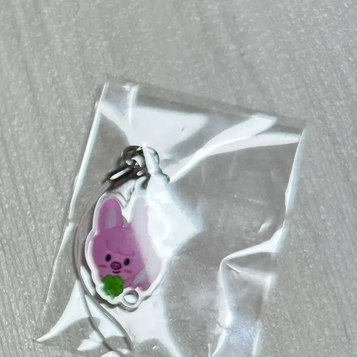 [BUNJANG] Stray Kids Changbin Dwaekki Keyring Sealed / 스트레이키즈 스키즈 팬미팅 기프트 창빈 돼끼 키링 미개봉 양도