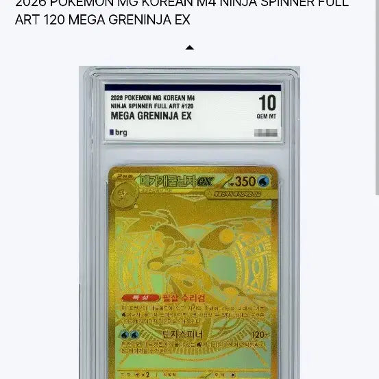 [BUNJANG] Mega Blastoise Gold Mur Brg Graded 10 / 메가개굴닌자  mur Brg  10등급