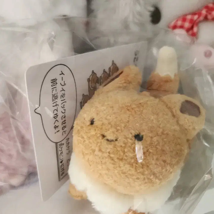 [BUNJANG] Pokemon Eevee Escape Series Pull-Back Car Plush Toy / 미개봉)포켓몬스터 이브이 도망 풀백카 인형 포켓몬센터 카드 피규어