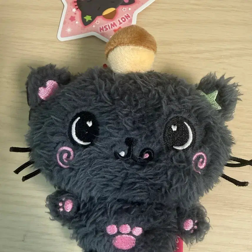 [SOLD OUT] 위시돌 쿠리