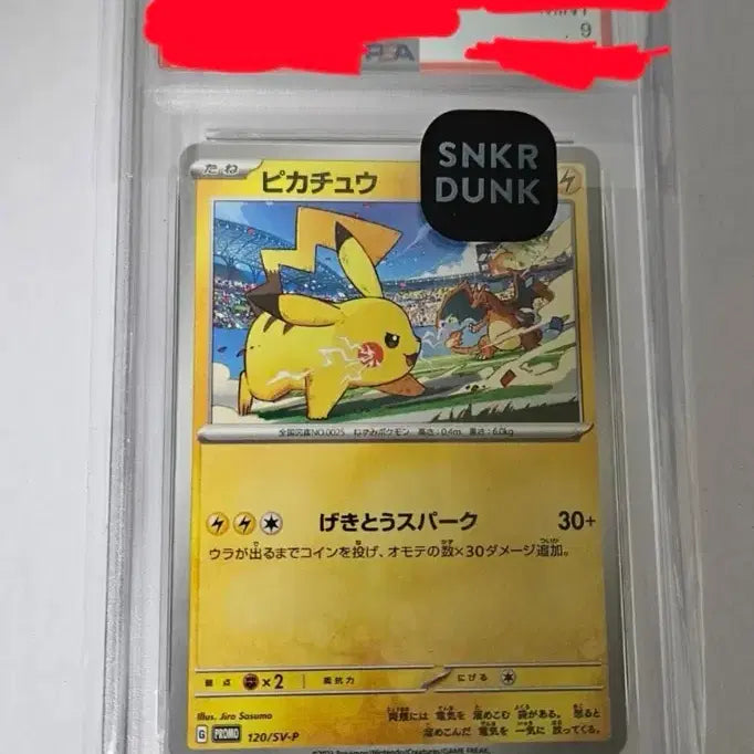 [BUNJANG] Pokemon Pikachu PSA 9 Graded Card / 포켓몬카드 피카츄PSA9