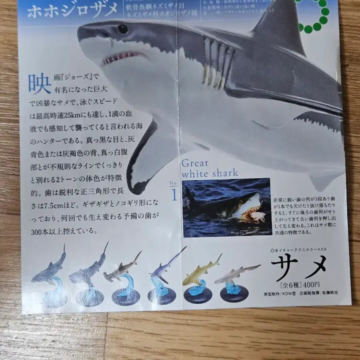 [BUNJANG] Nature Technicolor Great White Shark Figure / 네이처테크니컬러 상어 백상아리 네이처테크니칼라