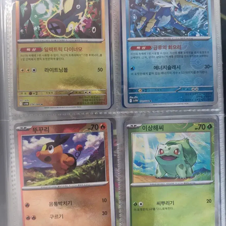 [BUNJANG] Pokemon Master Ball / Monster Ball Card Bundle Set / 포켓몬카드 몬스터볼/마스터볼 카드 일괄