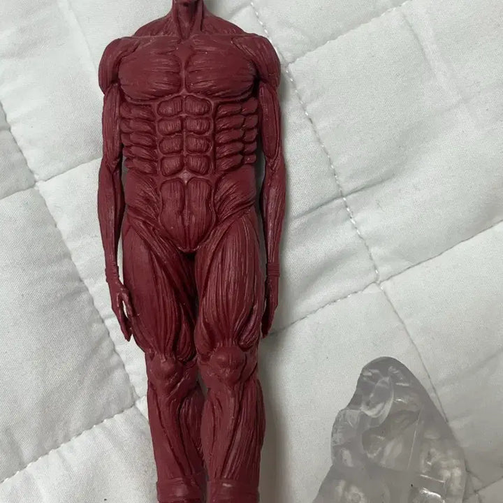 [BUNJANG] Attack on Titan Colossal Titan Figure / 진격의 거인 초대형 거인 피규어
