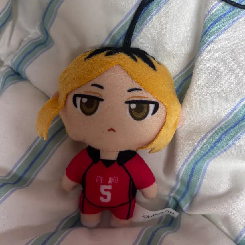 [BUNJANG] Haikyuu!! Kozume Kenma Plush / [덤증정] 하이큐 인형 코즈메 켄마