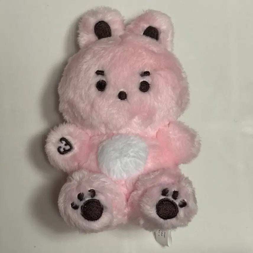 [BUNJANG] Day6 Wonpil Bunny Plush Doll Kongpiri / 데이식스 원필 토끼 인형 콩피리 양도