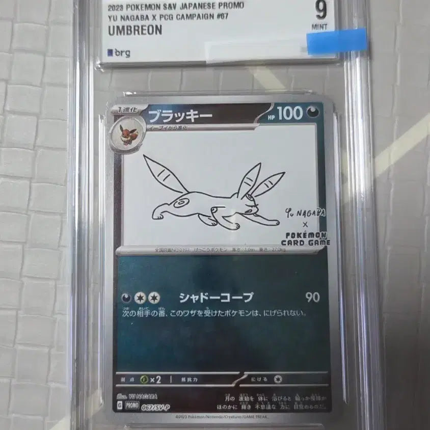 [BUNJANG] Pokemon Card Umbreon (brg9) / 포켓몬 카드 유나가바 블래키 (brg9) 판매합니다
