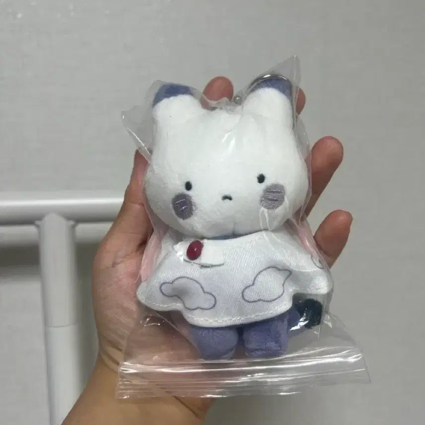 [BUNJANG] SCOSHISM x SPao Auto Rainy Collection "JipTtok" Plush Doll / 스코시즘 오토레이니 스파오 집톡인형