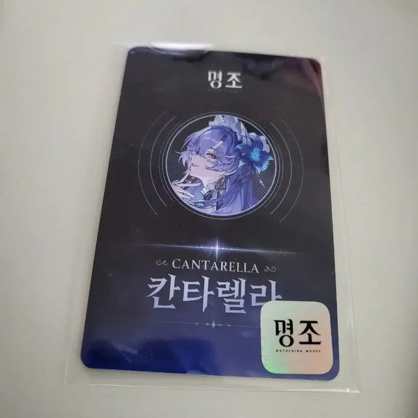 [BUNJANG] Mezzo Cantarella PVC Card / 명조 칸타렐라 pvc 카드