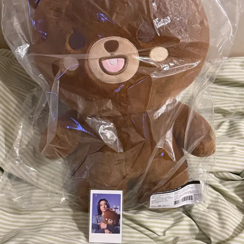 [BUNJANG] DAY6 Giant PetitMals Bangyi Sealed / (미개봉) 데이식스 자이언트 쁘티멀즈 방이