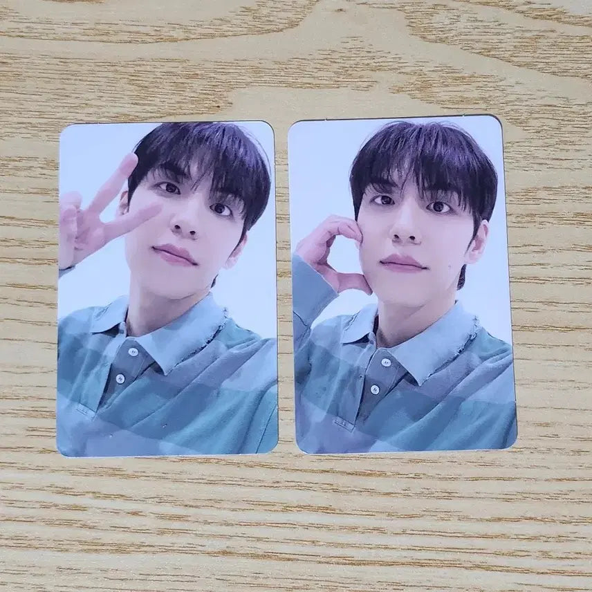 [BUNJANG] DAY6 Busan Concert Bundle Set Dowoon Photocard / 일괄) 데이식스 부산콘 입장포카 원필