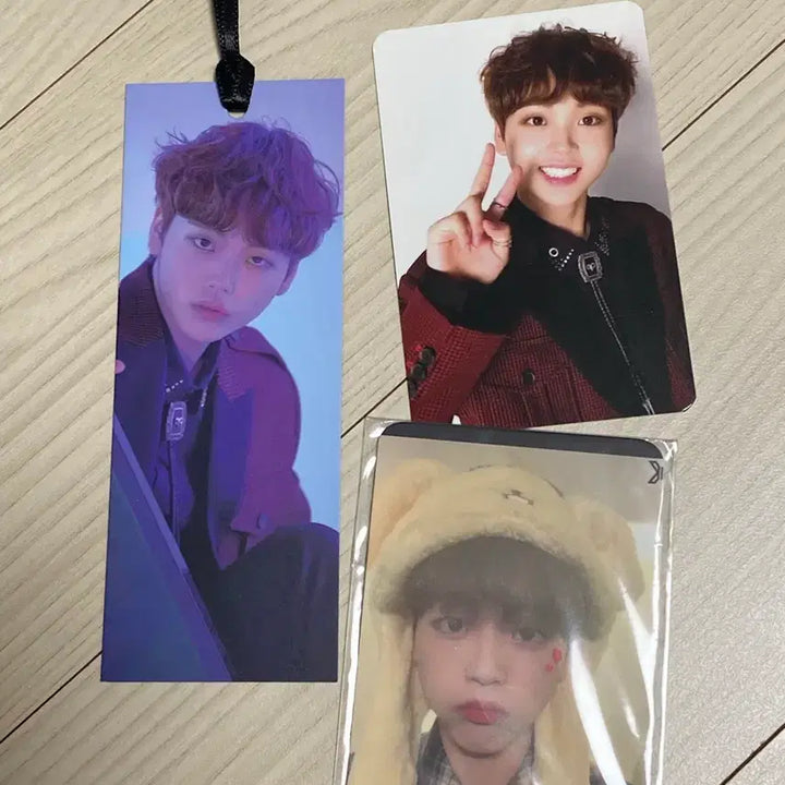 [BUNJANG] X1 Song Hyeong Jun Photocard / 송형준 X1 앨범 포카