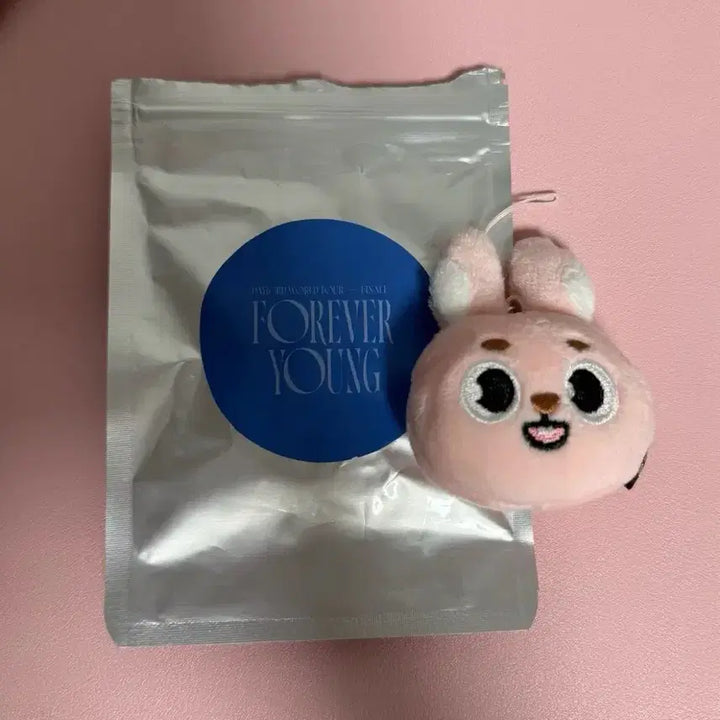 [BUNJANG] DAY6 FOREVER YOUNG Denimals Secret Mini Face Keyring Wonpil / 데이식스 포에버영 엠디 데니멀즈 시크릿 미니 페이스 키링 원필 필끼