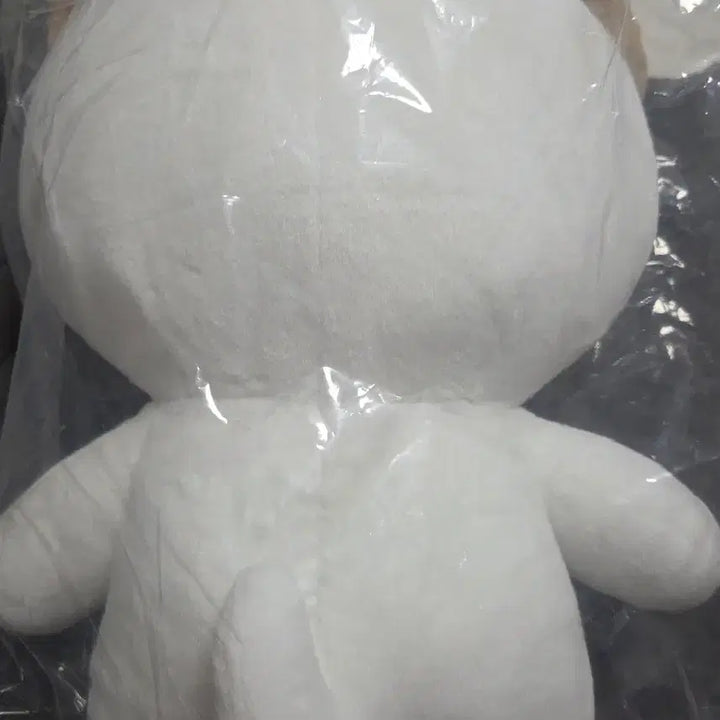 [BUNJANG] DAY6 Giant Petit Merz DON Photocard Holder / 데이식스 자이언트 쁘띠멀즈 돈