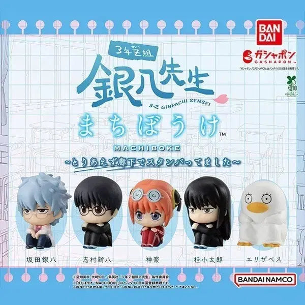 [BUNJANG] Gintama The Final Machiboke Gacha Shinpachi / 은혼 삼젯 마치보케 가챠 신파치