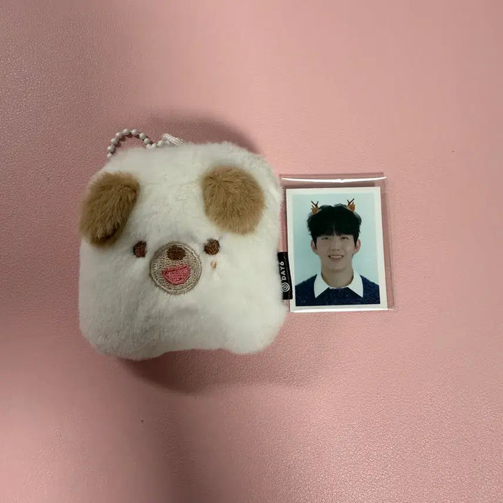 [BUNJANG] Day6 Denimals Photocard Holder Keychain Dowoon / 데이식스 데니멀즈 포토홀더 증사 키링 도운 돈