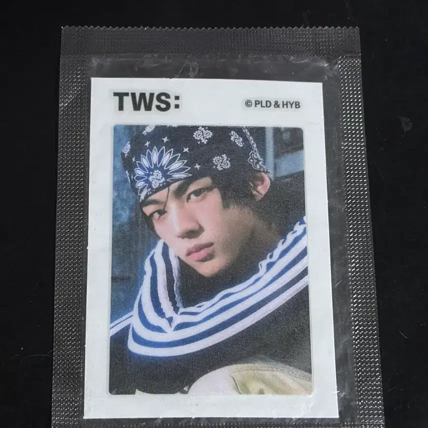 [BUNJANG] TWS Dohyun Seal / 투어스 도훈 씰