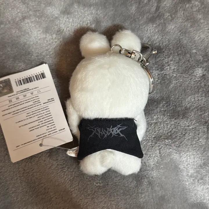 [BUNJANG] Stray Kids Lee Know Ribbit Magnet Keychain / 스키즈 리노 스키주 리빗 마그넷 키링 양도합니다