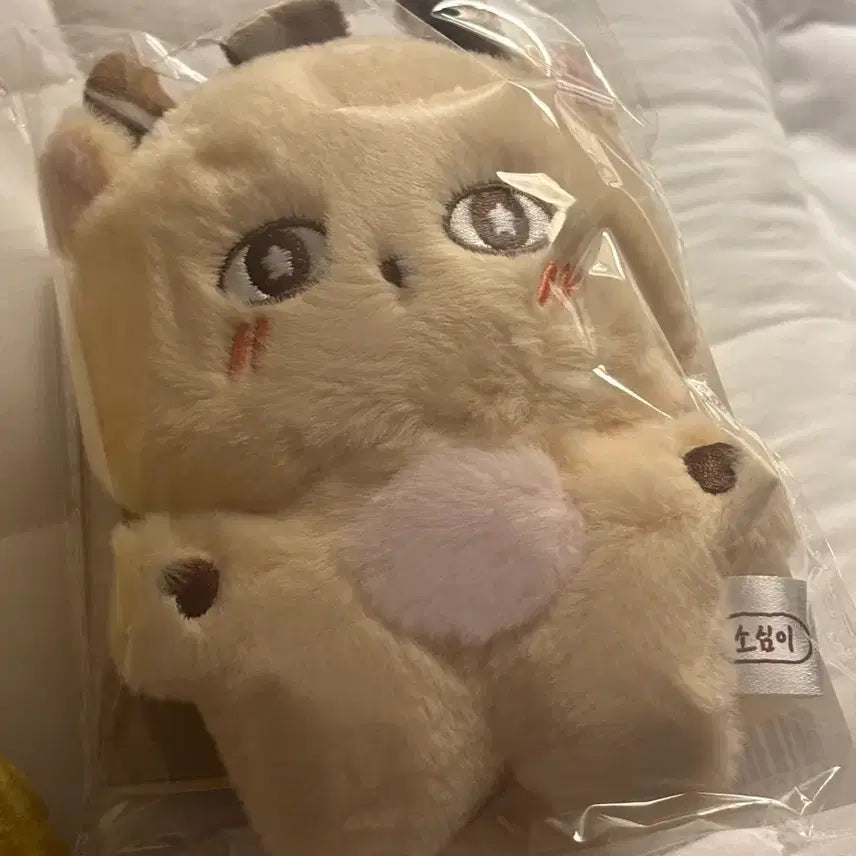 [BUNJANG] Park Jihoon Sosimi Doll / 박지훈 소심이 인형 원가 양도합니다!!