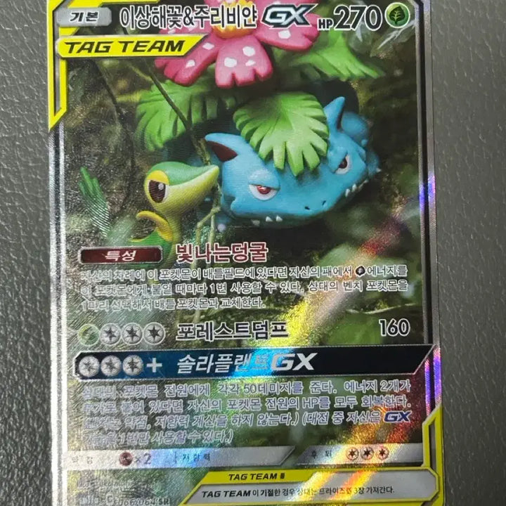 [BUNJANG] Pokémon Card Venusaur &amp; Bulbasaur GX SR Special Illustration / 포켓몬카드 이상해꽃&amp;주리비얀 GX sr 태그팀 특일
