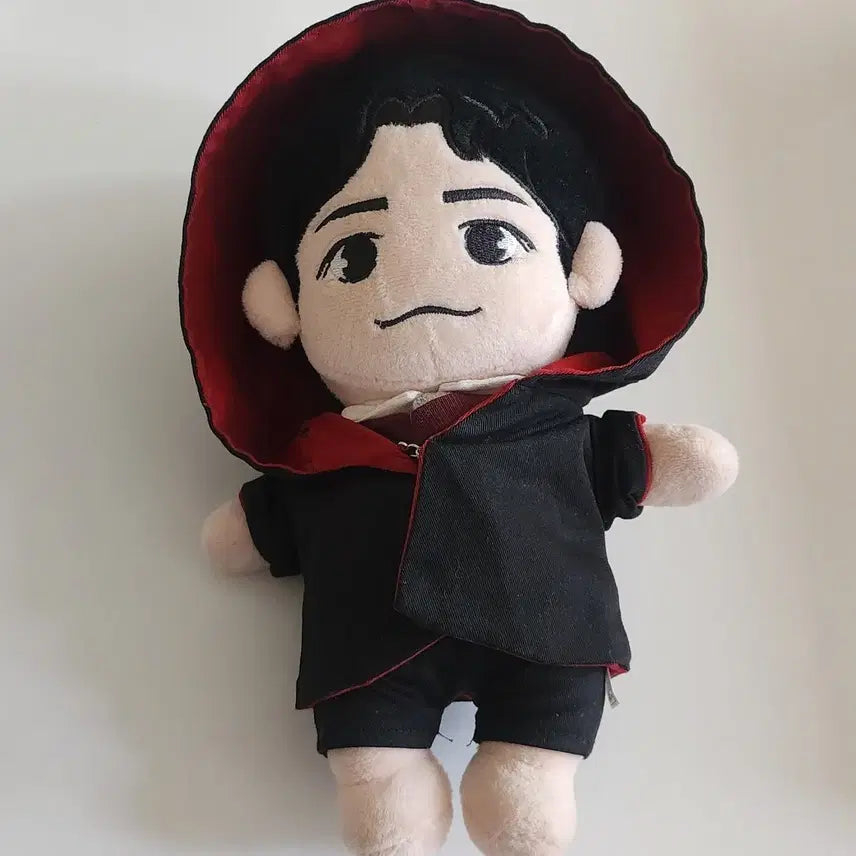 [BUNJANG] Park Bo Gum Plush Doll / 박보검 인형 양도