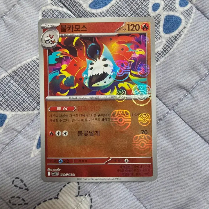 [BUNJANG] Pokemon Armored Mewtwo Card / 포켓몬 아머드 뮤츠 카드