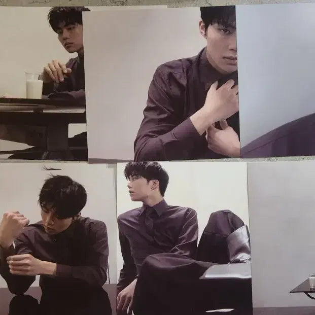[BUNJANG] ZEROBASEONE Park Gunwook 11ver. Album Set / 제로베이스원 박건욱 11ver. 앨범 세트